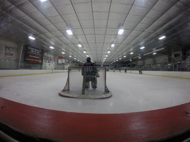 NHL Rink Net View